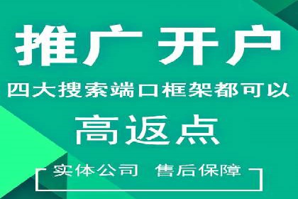 某零售业SEM策略调整，实现销售业绩大增